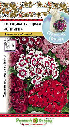 Цветы Гвоздика турецкая Спринт, смесь (200шт)