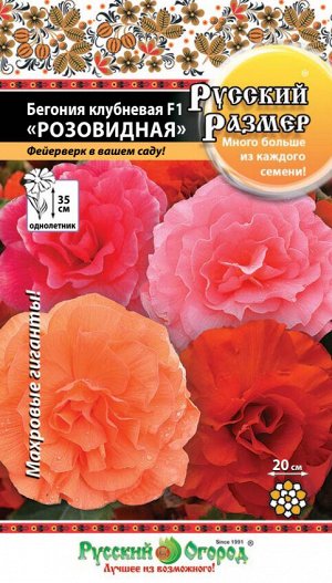 Цветы Бегония клубневая Розовидная F1 Русский размер смесь (5шт)