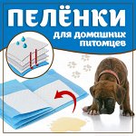 🐶 KARMY / ZооRING — для счастливой жизни питомца