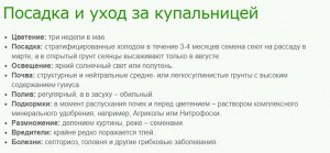 Купальница Китайская