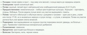 Редис Красная шапочкаБлюда стран мира