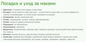 Мак-самосейка Утренняя песня