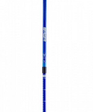 Палки для скандинавской ходьбы BERGER Rainbow, 77-135 см, 2-секционные, синий/голубой