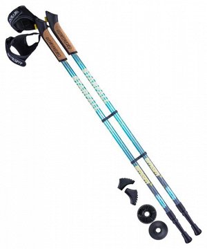 Палки для скандинавской ходьбы Starfall, 77-135 см, 2-секционные, синий/серый/жёлтый