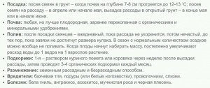 Тыква крупноплодная Запеканка