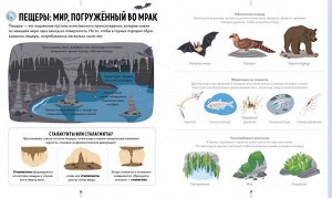 НИИ. Большая энциклопедия природы