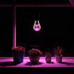 Светодиодная лампа для растений ( фитолампа ) Luazon 9 Вт, E27, 220В