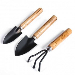 УЦЕНКА Набор садового инструмента, 3 предмета: рыхлитель, 2 совка, длина 20 см, деревянные МИКС ручки