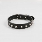 Ошейник &quot;Лион&quot; с шипами 50 х 2,5 см, искусственная кожа, чёрный