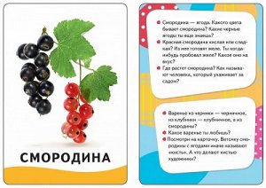 Овощи, фрукты, ягоды (32 карточки) (Артикул: 19085)