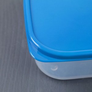 Набор контейнеров пищевых Доляна, квадратных, 2 шт: 450 мл; 700 мл, цвет голубой