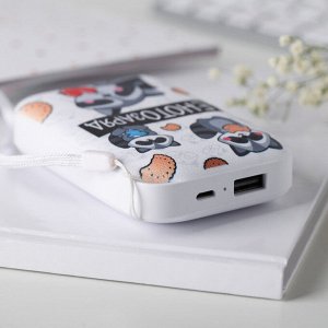 Портативный аккумулятор «Енотозаряд» 5500 mAh, 2 USB-разъёма