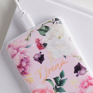 Портативный аккумулятор «Dream» 5000 mAh, 2 USB-разъёма