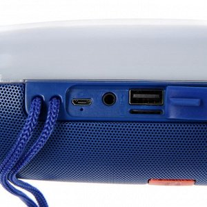 Портативная колонка SK1023BE, microSD/USB, Bluetooth 5.0, 10 Вт, 1200 мАч, синяя