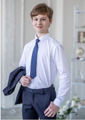 ALOLIKA Стильный и модный принтованный галстук с мелким рисунком Арнольд 30 см