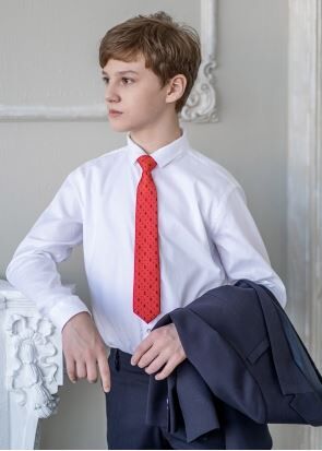 Стильный принтованный галстук Дуглас 35см