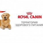 Royal Canin корм для собак