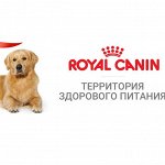 Royal Canin корм для собак