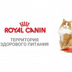 Royal Canin корм для кошек