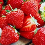 Земляника садовая Царица (Р9)