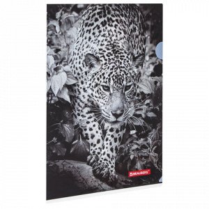 Папка-уголок BRAUBERG “Леопард“, А4, 150 мкм, цветная печать, 228040