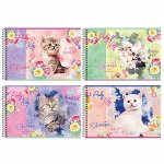 Альбом для рисования 48л., А4, на гребне BG &quot;Котенок&quot;, эконом