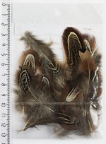 Перо фазана №14