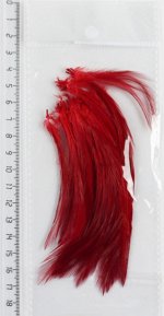 Перо петуха Jpfishing (Red)