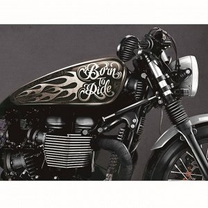 2889325 Набор наклеек на мотоцикл Born to ride, 2 шт