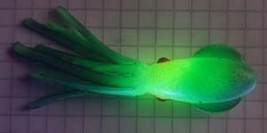 Каракатица 7,5 см., 3,0 дюйма, не оснащенная (без крючка), темно-зеленая со светонакопителем
