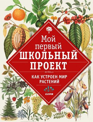 СКХ. Мой первый школьный проект. Как устроен мир растений