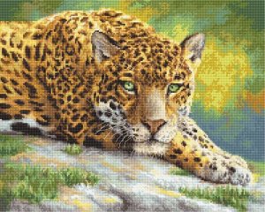920 - Умиротворенный ягуар