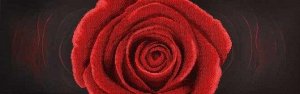 11004 Красная Роза