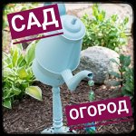 Сад и огород