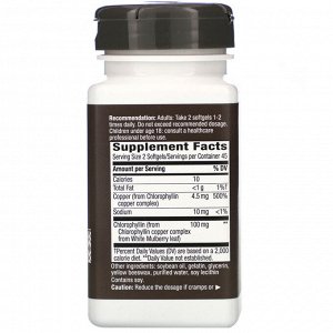 Nature&#x27 - s Way, Chlorofresh, концентрированный хлорофилл, 90 мягких таблеток