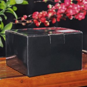 Чайник 1,4 л "Дари" с эмалированным покрытием, цвет черный