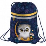 Мешок для обуви Berlingo &quot;Owl dream&quot;, 410*490мм, световозвращающая лента, 1 отд., карман на молнии