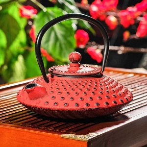 Чайник с ситом 500 мл "Марокко", цвет красный, с эмалированным покрытием внутри