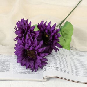 Цветы искусственные "Астры" три бутона 10*55 см, фиолетовый