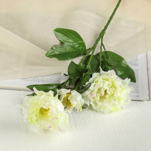 Цветы искусственные "Пышные бутоны" 10*70 см, белые