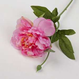 Цветы искусственные "Пион с бутончиком" 10*57 см, розовый