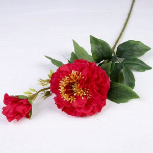 Цветы искусственные "Пион Шарм два бутона" 9,5*55 см, красный