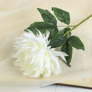 Цветок искусственный "Астра Валькирия" 10*69 см, белый