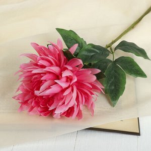 Цветок искусственный "Астра Валькирия" 10*69 см, розовый