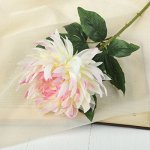 Цветок искусственный &quot;Астра Валькирия&quot; 10*69 см, бело розовый