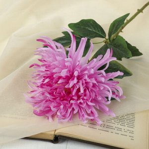 Цветок искусственный "Астра Страусово перо" 10*69 см, розовый