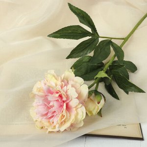 Цветок искусственный "Пион" 10*65 см, кремовый