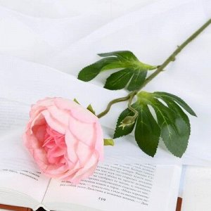Цветок искусственный "Пышный пион" 7х47 см розовый