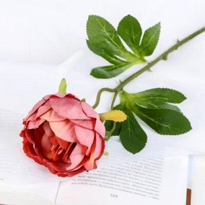 Цветок искусственный "Пышный пион" 7х47 см пепельно-розовый