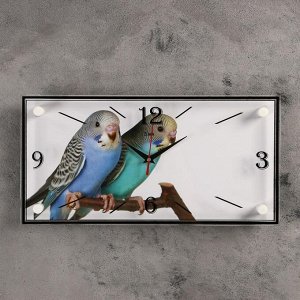 Часы настенные, серия: Животный мир, "Парочка попугаев", 19х39 см